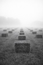 8x10 Photo Print – Square