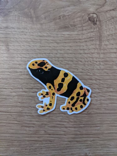 Yellow banded poison - yellow-banded, frog