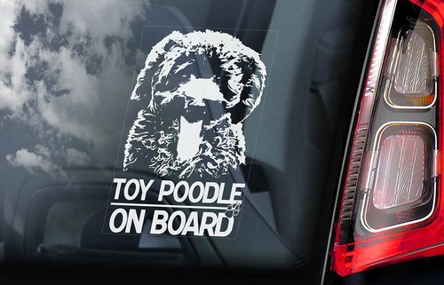 Toy poodle car sticker - poodle,