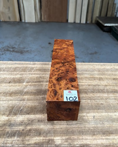Thuya burr 3 - burr,