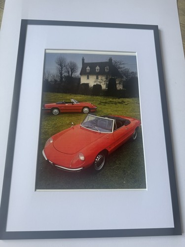 New framed alfa - new, spider