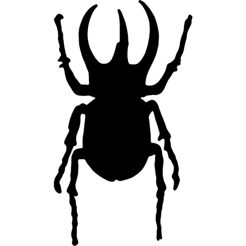 Atlas beetle stencils - 'atlas,