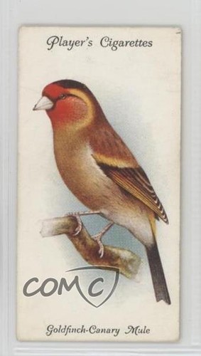 1933 player aviary and - player's,