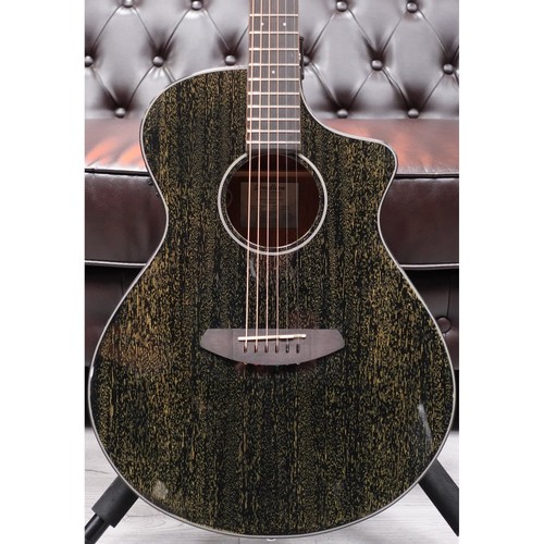 Breedlove rainforest electro - rainforest,