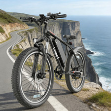 Ladped Electric Bike BK900