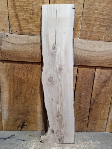 Live edge holly - slab, (058)