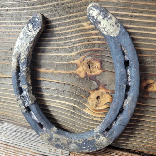 Old worn horse - old, shoe