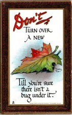 Turn Over New Leaf Bug Under