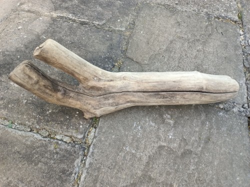 Large driftwood piece - driftwood,