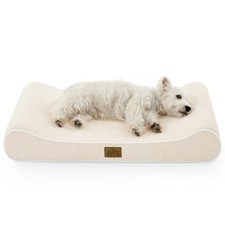 Orthopedic Dog Bed for Medium