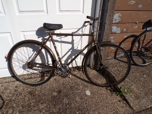1976 raleigh esquire speed - 1976,