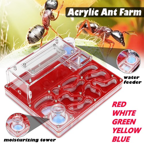 Ant moisture nest habitat - moisture,