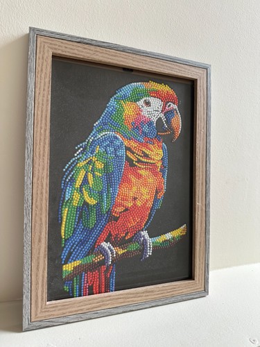 Multi coloured parrot - in, frame