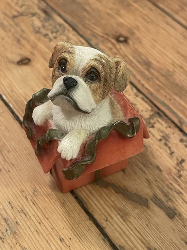 Boxer present puppy dog - boxer, puppy/dog