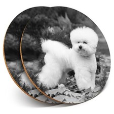 2 x Coasters bw - White Bichon