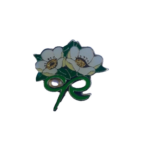 Vtg nos macmillan - nos, cancer