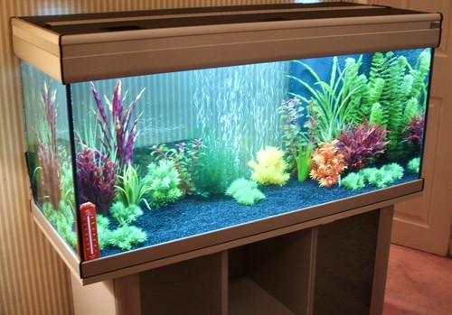 180l aquarium fish tank joblot - 180l,