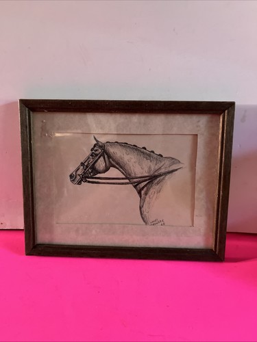 Nancy strowger 1968 horse - horse, head
