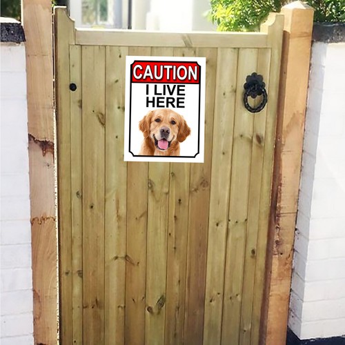 Caution live here golden - caution,