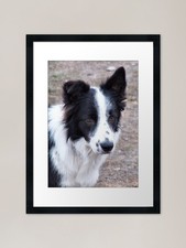 Up and Down Framed Art Print
