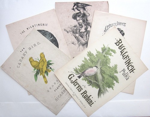 Bird victorian illustrated - victorian,