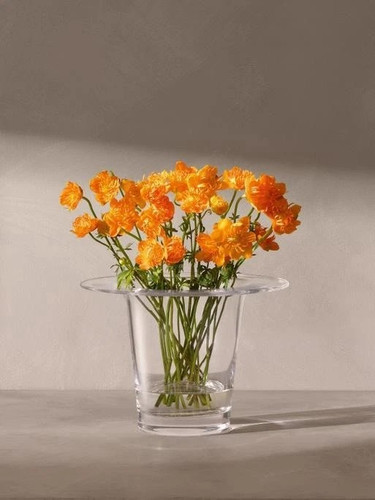 Lsa victoria clear - lsa,