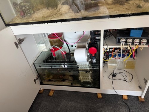 Used marine fish tank set - fish,