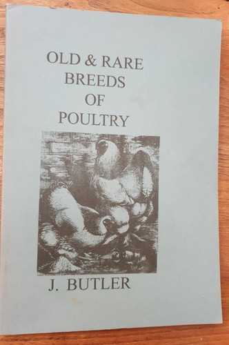 Old rare breeds of poultry - rare,