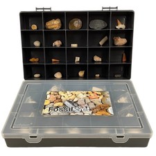 Large Fossil Gift Set with 20