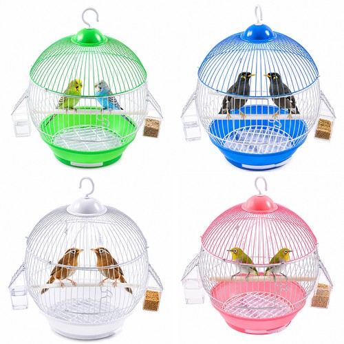 Small round bird travelling - round,