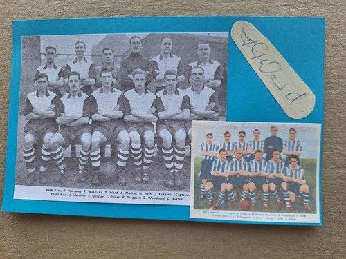 Tommy ward sheffield wednesday - tommy,