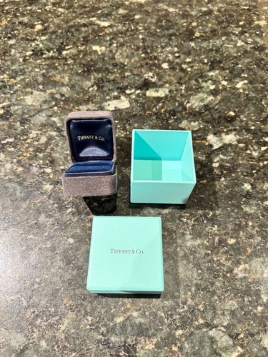 Tiffany ring proposal - co.,