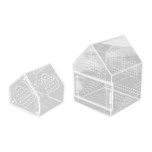 Jumping spider enclosure - jumping,