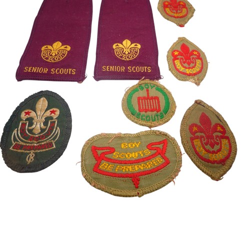Boy scouts insignia - 8, x