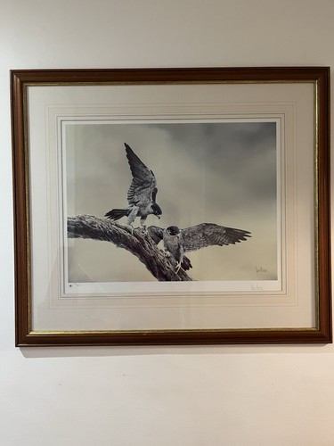Large limited edition print - limited,