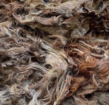 Suri 6"-10" long Alpaca Fleece