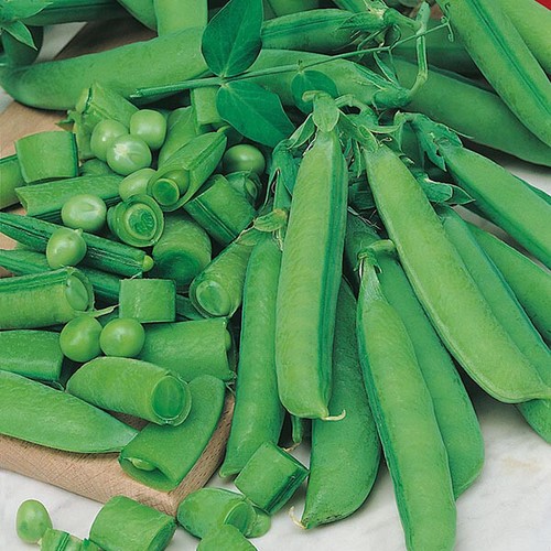 Pea snap sugar bon - pea,