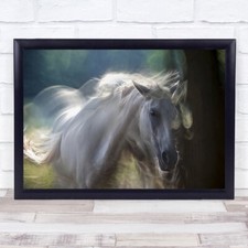 In Shadow Abstract Horse White