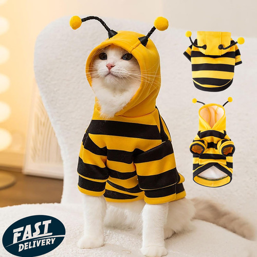 Cat bee hoodies - bee, halloween