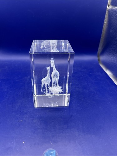Laser crystal paperweight - crystal,