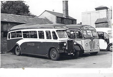 Bus Photo: CAX394 Red & White