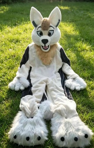 Long fur husky dog - long, fox
