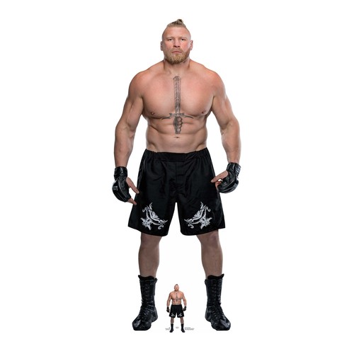 Brock lesnar official wwe - brock,