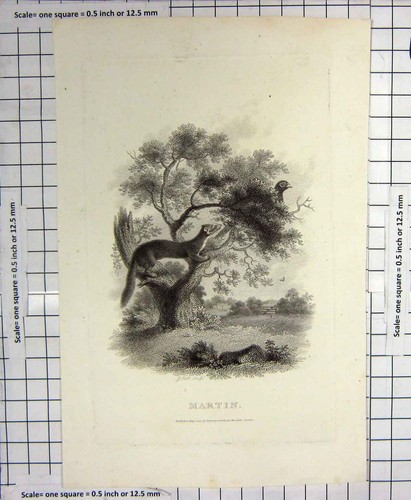Original old antique print - original,