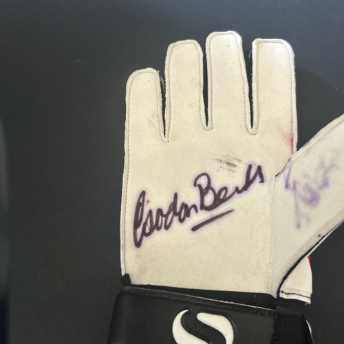 Damaged gordon banks hand - banks,