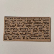 Eggs From Thoroughbred