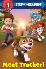 Paw Patrol Deluxe Step Into