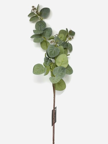 Artificial seeded eucalyptus - artificial,