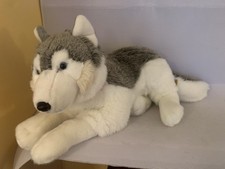 Living nature husky dog - living,