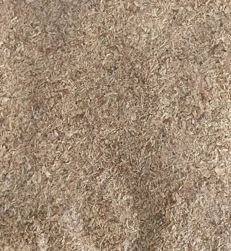 Nigerian ground crayfish - ground,